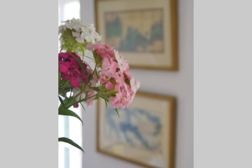 Holiday home Old House Kings Nympton